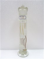 藏品(日本鰻成長階段4)的圖片